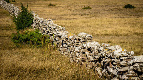 Stack of stones on field