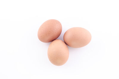 Close-up of eggs against white background