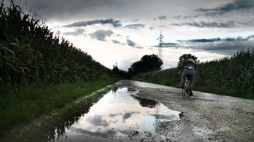 Rear view of man riding bicycle on dirt road against cloudy sky