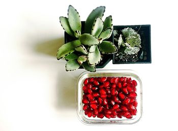 High angle view of strawberries in container against white background