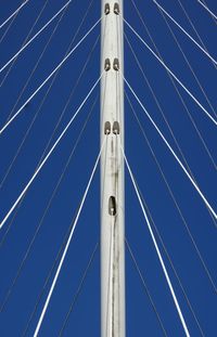 Low angle view of cables against blue sky