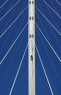 Low angle view of cables against blue sky