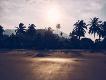 Scenic view of palm trees against sky during sunset