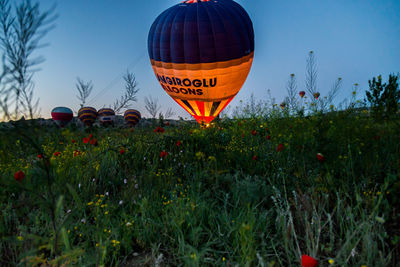 Low angle view of hot air balloons on field against sky