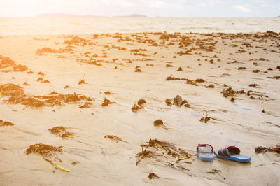 A sandy sea beach with thrown algae and sandals in the foreground on a summer evening