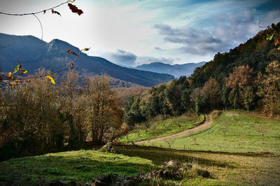 Scenic view of landscape against sky