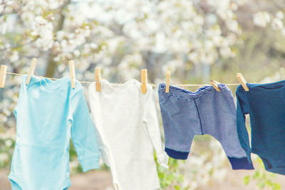 Low angle view of clothes drying on tree