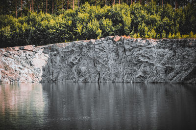 Scenic view of lake in forest