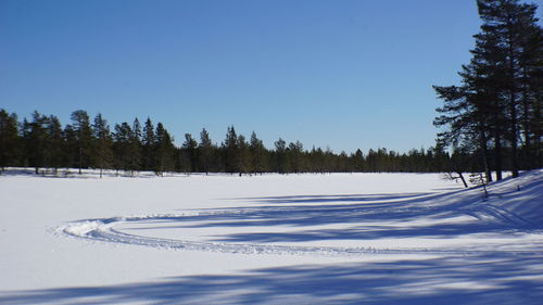 Trees on snow covered field against sky