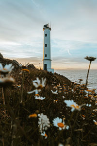 Lighthouse on beach by sea against sky