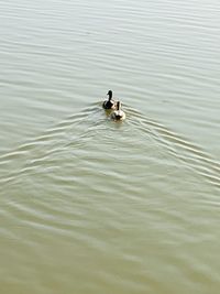 water
