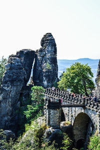 Plants growing on rock against sky