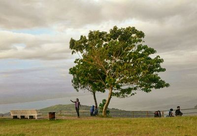 Tree on field by sea against sky