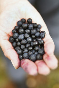 Blueberries on hand, close-up