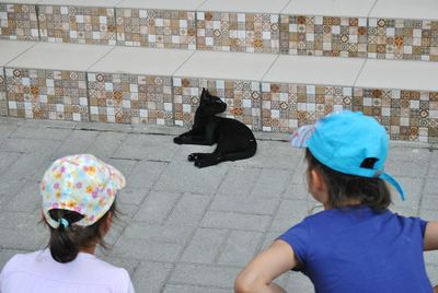 Rear view of woman with dog