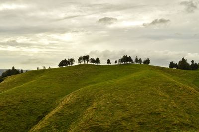 Scenic view of grassy field against cloudy sky