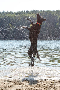 Man running with dog in water