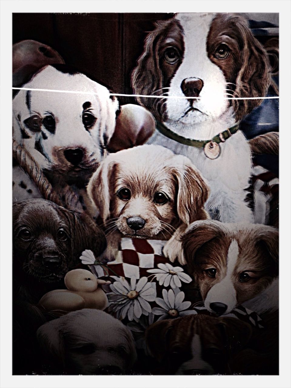 transfer print, animal themes, indoors, domestic animals, pets, auto post production filter, mammal, portrait, looking at camera, one animal, two animals, animal representation, home interior, togetherness, dog, close-up, relaxation, no people, sofa, creativity