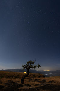 Tree on field against sky at night