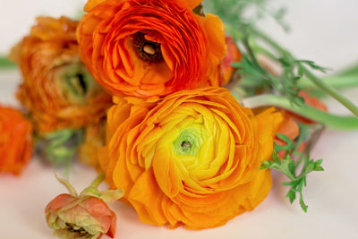 Close-up of rose bouquet