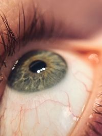 Close-up of woman's eye