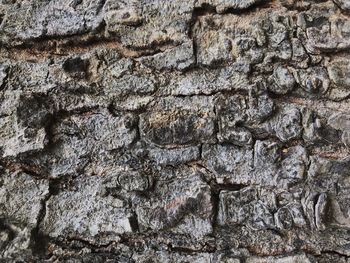 Full frame shot of weathered wall