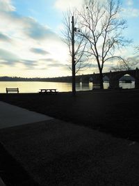 Bare trees at sunset