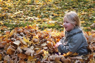 Autumnal leaves on field