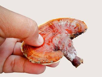 Close-up of hand holding ice cream against white background