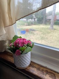 Small pink flower pot on window ledge