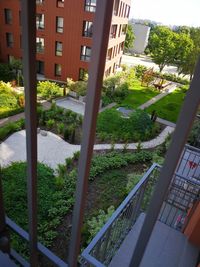 High angle view of trees and buildings seen through window