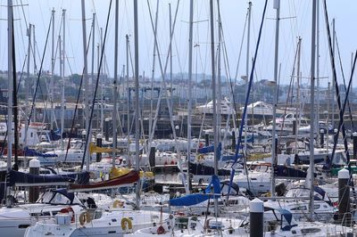 Sailboats moored at harbor during sunny day