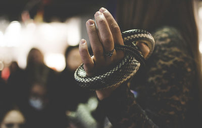 Close-up of woman hand holding snake