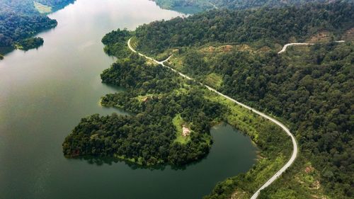 High angle view of trees on landscape