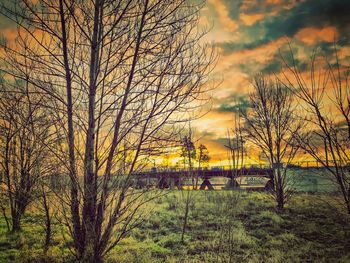 Bare trees in forest against sunset sky