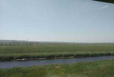 Scenic view of field against clear sky