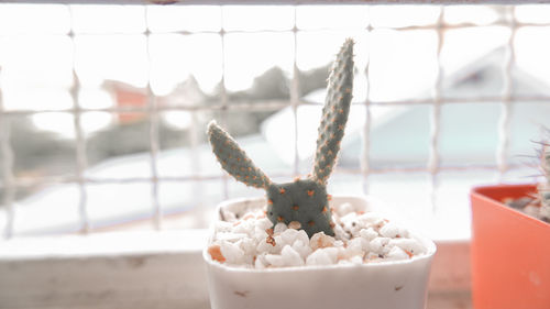 Close-up of ice cream on table