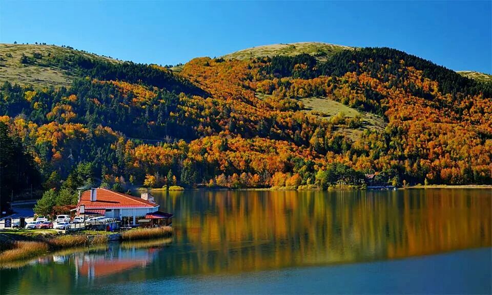 water, tree, lake, tranquil scene, tranquility, reflection, clear sky, waterfront, beauty in nature, mountain, autumn, scenics, nature, change, river, idyllic, nautical vessel, boat, season, blue