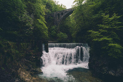 Scenic view of waterfall in forest