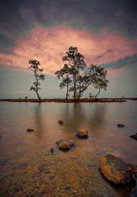 Scenic view of lake against sky during sunset
