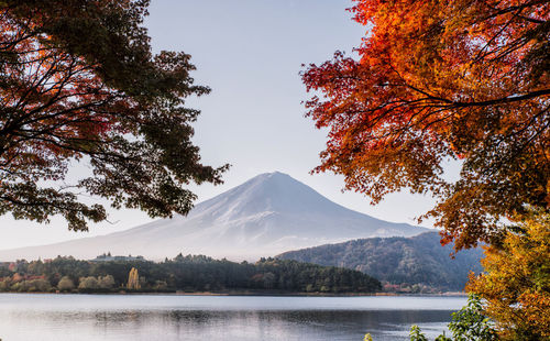 Scenic view of lake by trees against sky during autumn