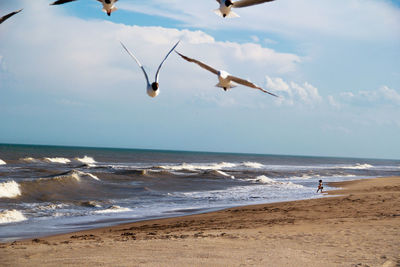 Close-up of seagulls on beach with girl walking in background against sky