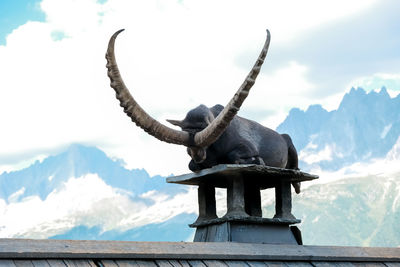 Low angle view of cow standing against sky