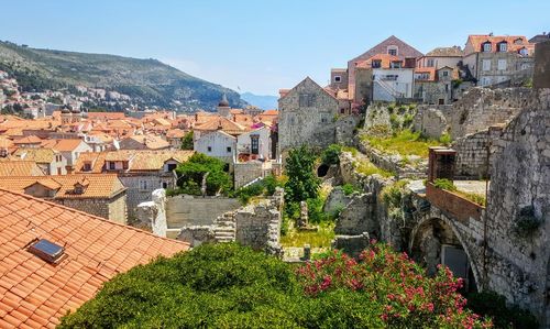 Buildings in a town