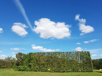 Scenic view of landscape against blue sky