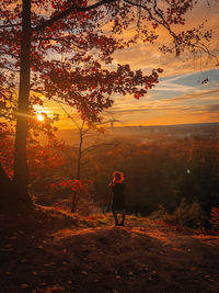 Rear view of woman standing by tree during sunset