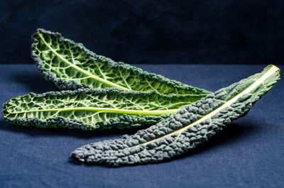 Close-up of bread against black background