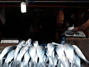 Close-up of fish for sale in market