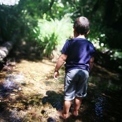 Rear view of boy walking in forest