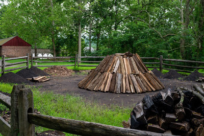 Wooden logs in forest